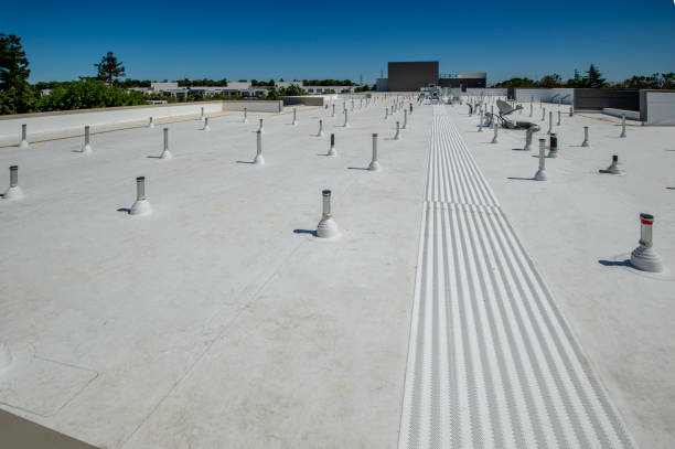 Best Asphalt Shingle Roofing  in Mission Bend, TX
